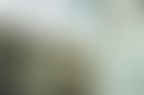 Transgressing The Museum