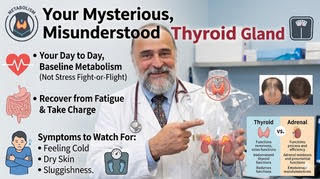 Your Mysterious, Misunderstood Thyroid Gland; how to take charge of your health and recover from fatigue