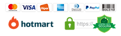 compra-segura-hotmart-w1000.png