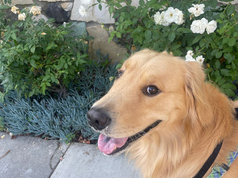 Walking in Santa Monica