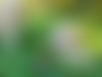 Mackenzie and Lily in Beverly Gardens