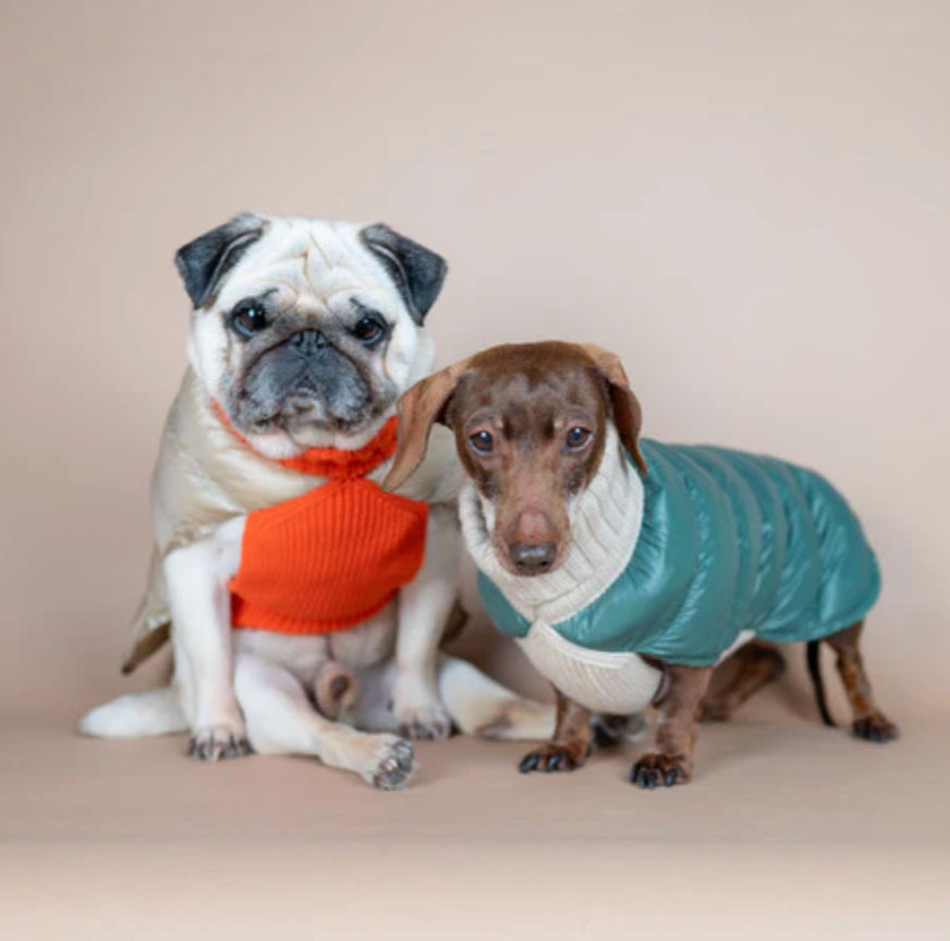 Lily Bird Puffer Sweater for Dogs modeled by a Pug and a Dachshund.