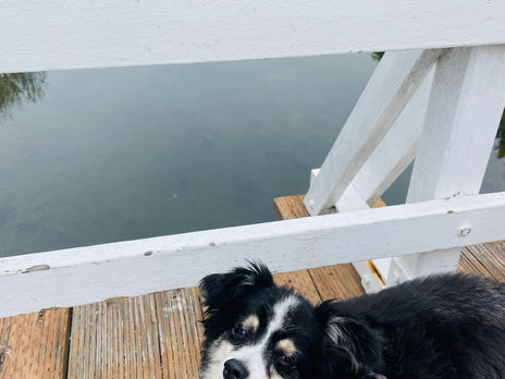 Jolly Traveler on a Venice Canal Tour!