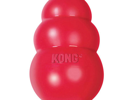 The Art of Kong + 3 Yummy Recipes