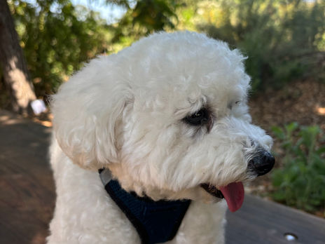 Precious Brody in Coldwater Canyon