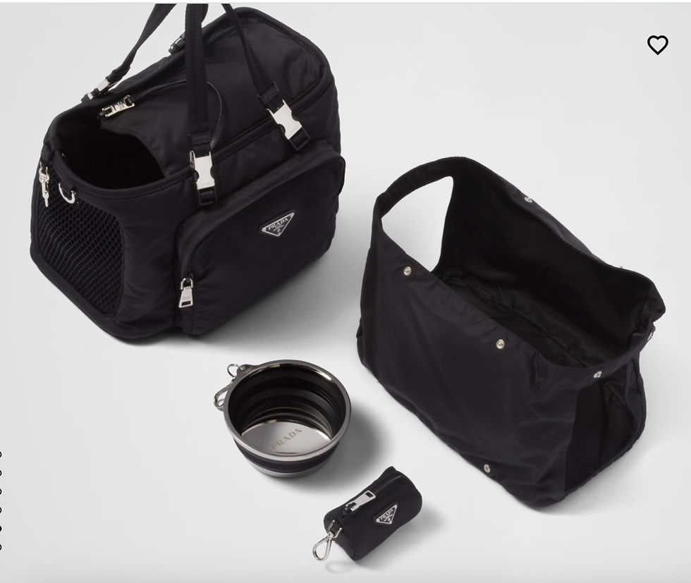 Prada leather Pet Bag