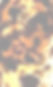17854483620478816_edited_edited_edited.jpg