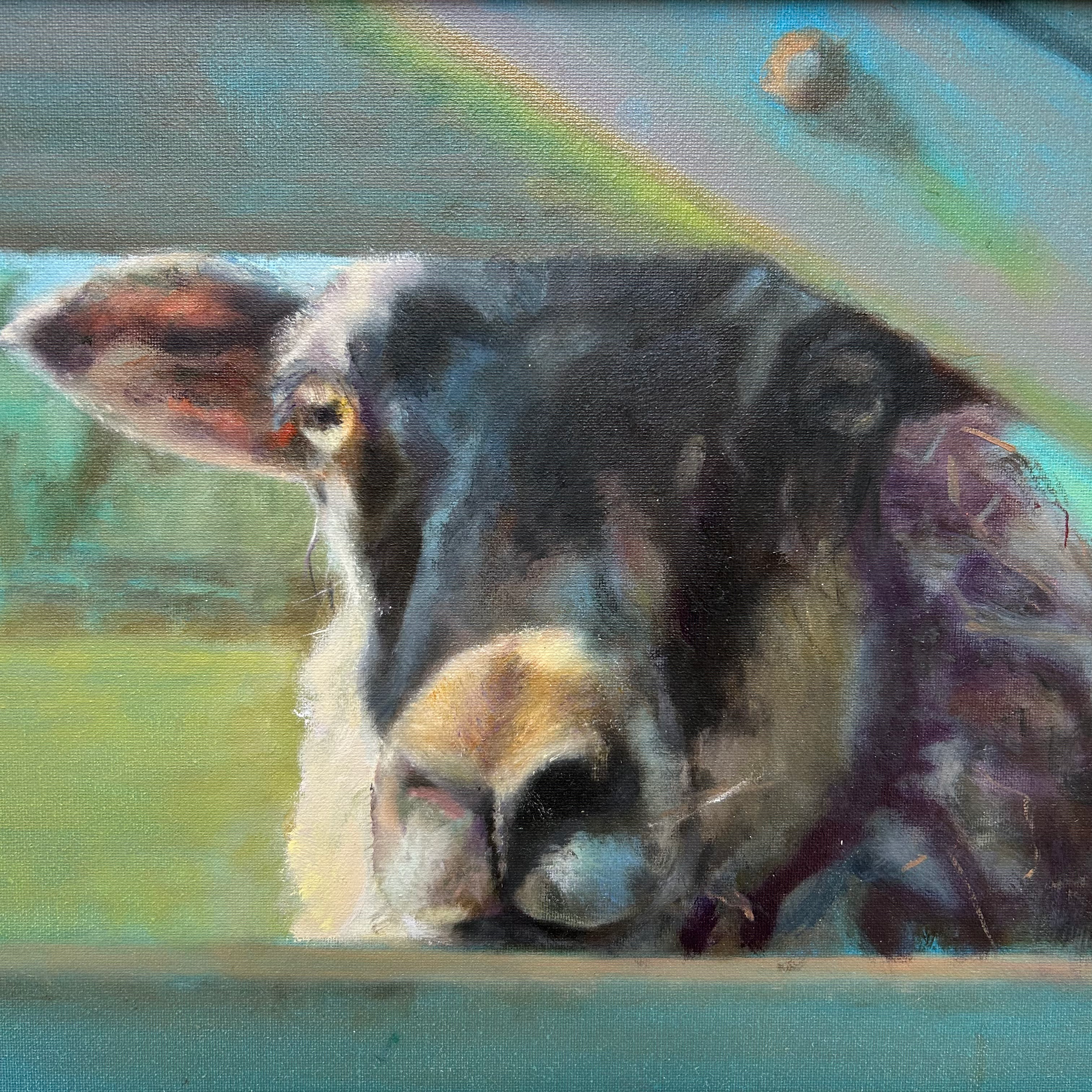 Sheep Street - Barbara II 30x24cms Oil on canvas board