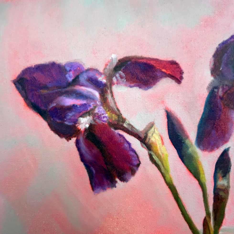 Thumbnail: Flowerworks - Iris Twins I  (horizontal) 24x30cms Oil on canvas panel