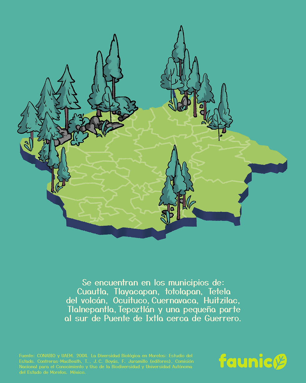coralillo del balsas