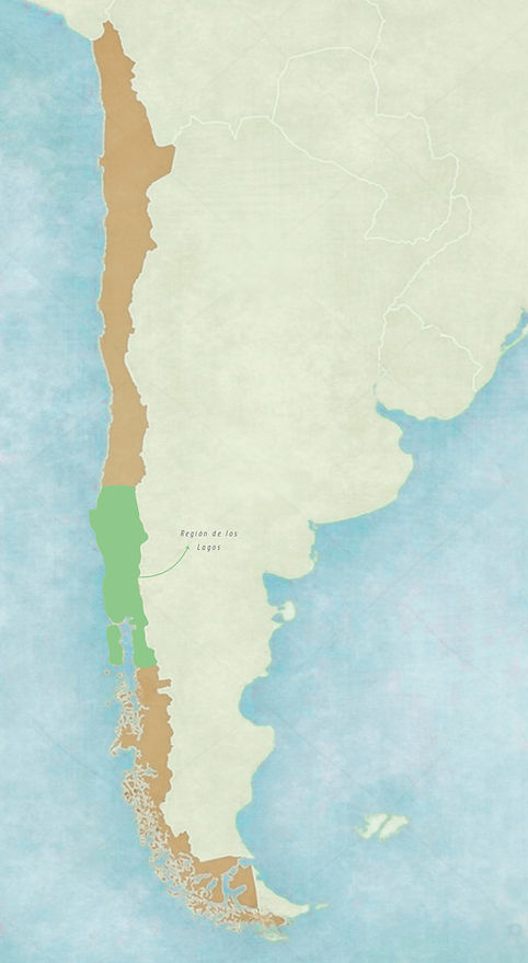 Región de los Lagos_edited_edited.jpg