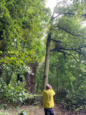 Analogkurs Analogfotografie Bayreuth Nürnberg