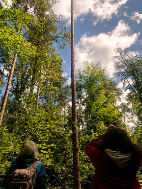 Analogkurs Analogfotografie Bayreuth Nürnberg