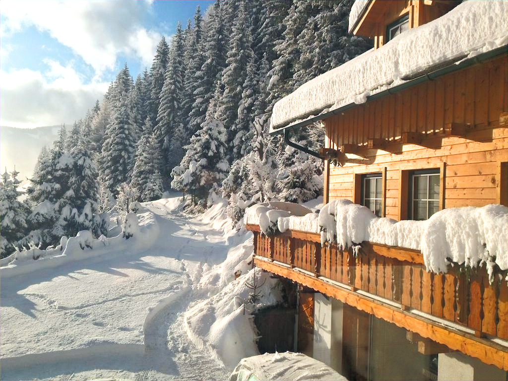 Chalet Steiermark