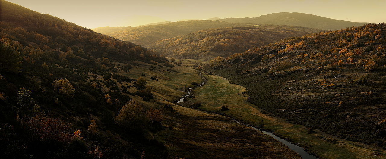 1280px-Hayedo_de_Tejera_Negra_02