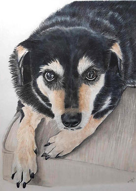 Lucy cropped and edited smaller.jpg