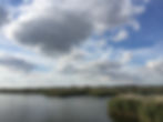Oder Zwischenland Blick Gartz