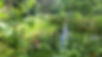 Garten 4.JPG
