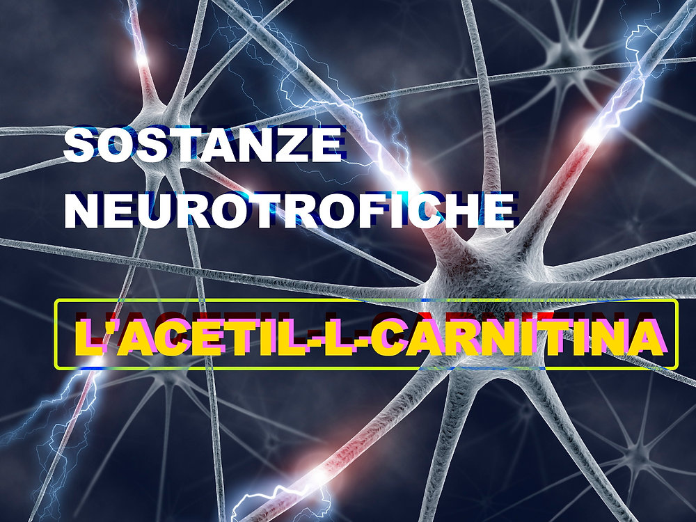 Sostanze neurotrofiche: l'Acetil-L-Carnitina Sostanze neurotrofiche: l'Acetil-L-Carnitina