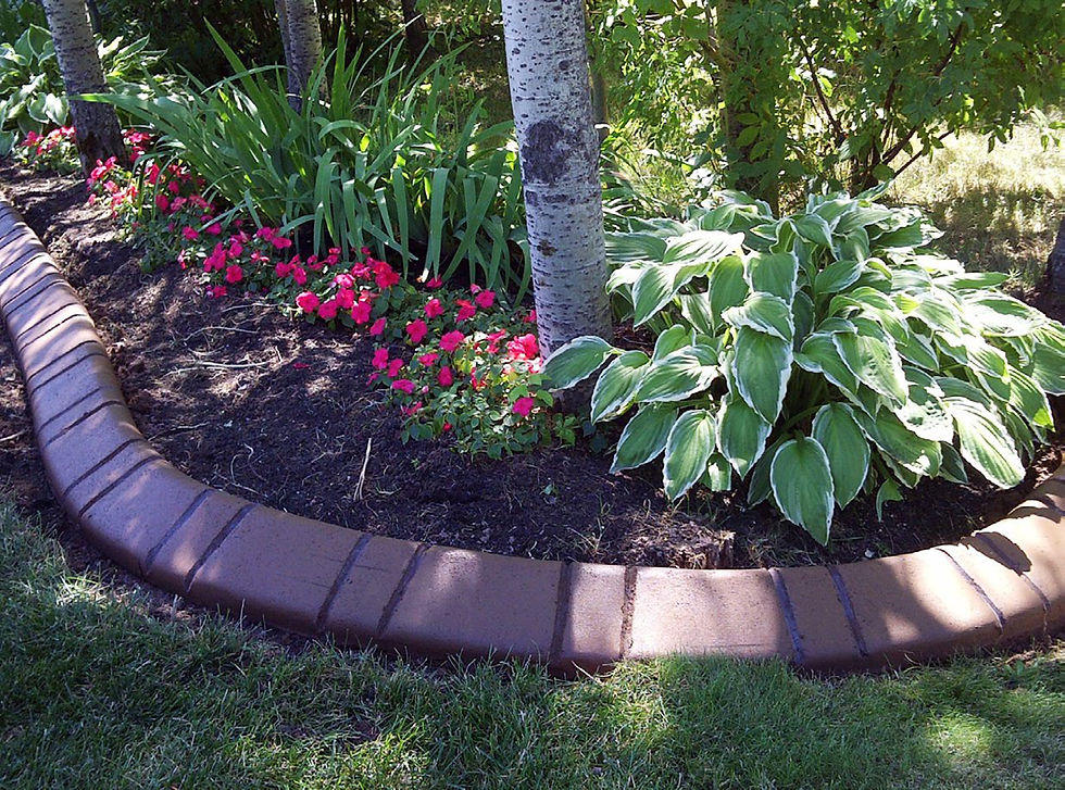 Garden Beds