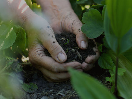 hand of soil