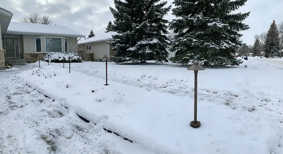 Landscape path lights standing straight in snowy Winnipeg ground, demonstrating proper base installation to prevent frost heave.