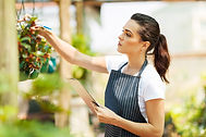 Plant Nursery