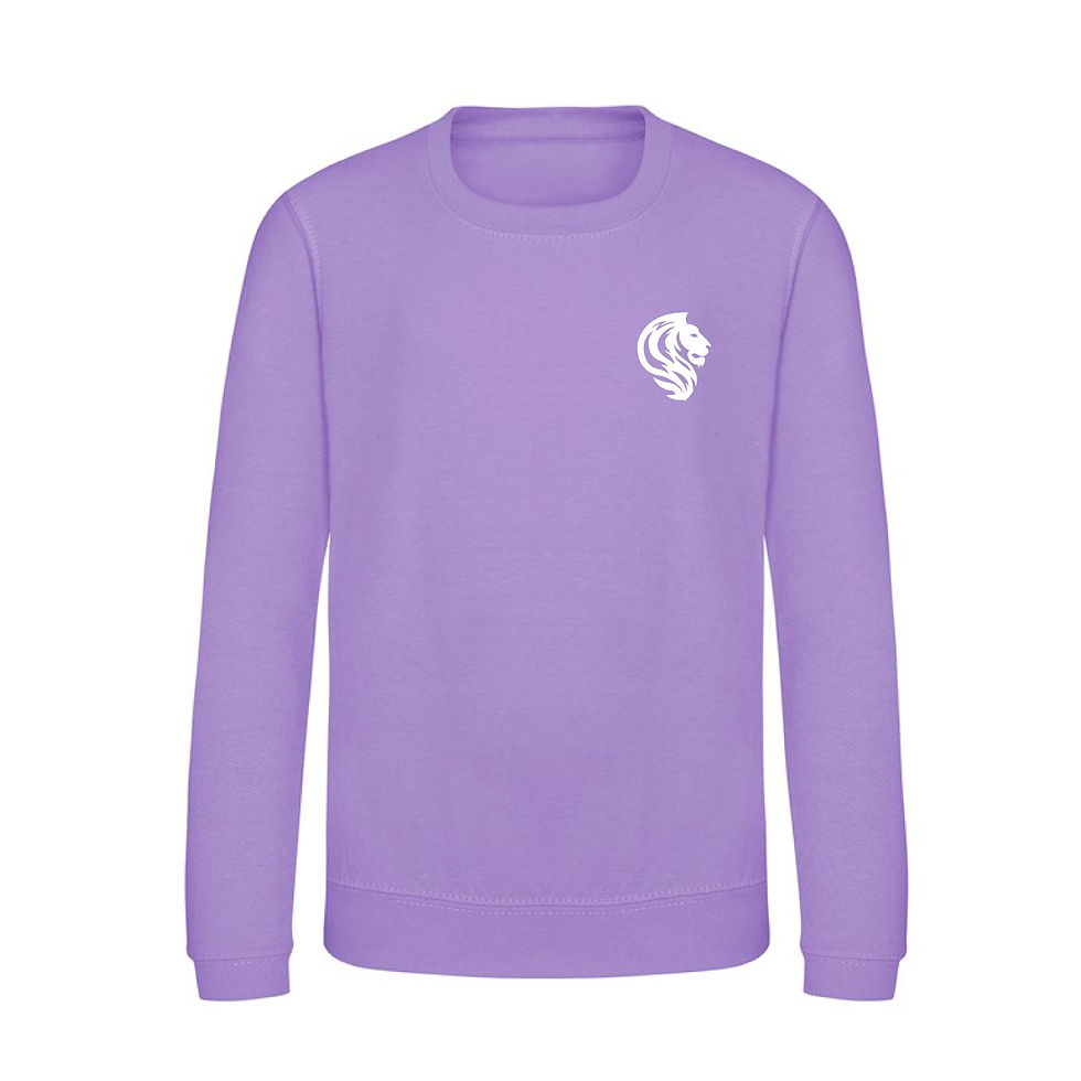 Thumbnail: TVFC Junior Lions Head Sweatshirt