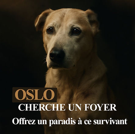 oslo.jpg