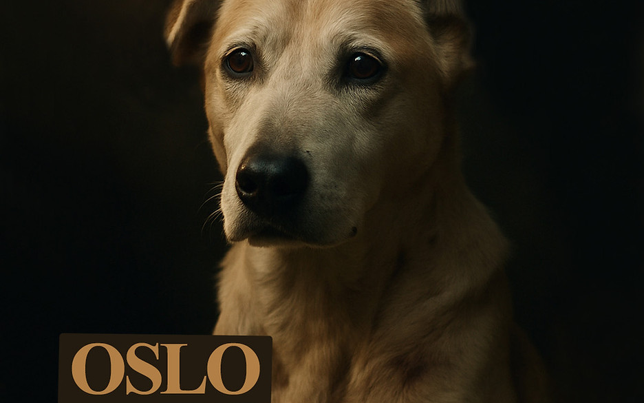 post annonce oslo aout_.jpg