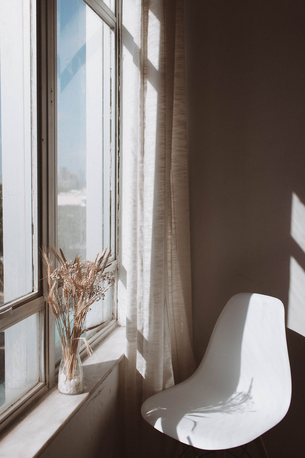 sunny window