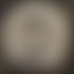 Carl Sundberg and the Bicentennial Plate: Art, History, and the Washington Elm