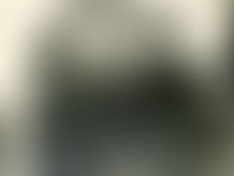 The house at 6 Chapel Street