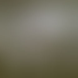 The Old Turnpike Gate of Wilbraham