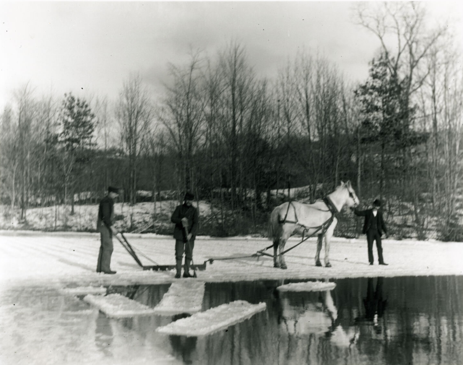 Nine Mile Pond: Reflections of Wilbraham’s Past