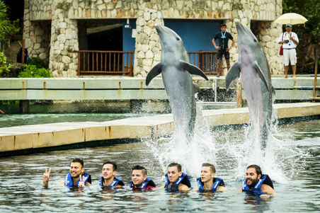 Simon Cowell Cuts Controversial Dolphin Scenes From X Factor