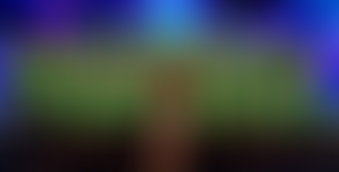 BGT Acts Performing Monday 29th May