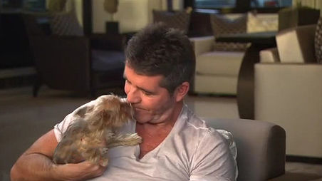 Simon Cowell Condemns The Arsonists Who Set Fire To Manchester Dogs Home 