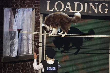 Ofcom Rule Britain's Got Talent Misled Viewers With Jules & Matisse Final Performance.