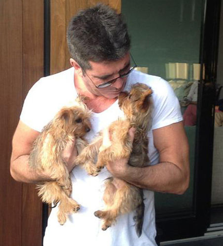 Simon Cowell Plans To CLONE His Dogs Squiddly & Diddly!