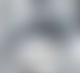 Vampire Solitaire Tome 3 Guerriére Priscilla LLorca