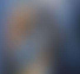 LA LÉGENDE OUBLIÉE       Le Seigneur de la Forêt