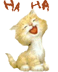 12.gif