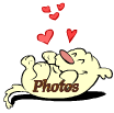 photos page.gif