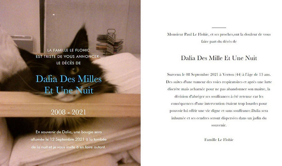 Faire part décès Dalia (1).jpg