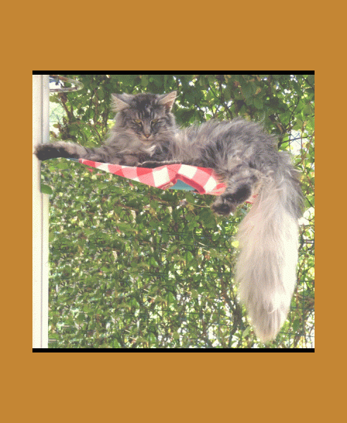 bloggif_5eb916e24390a.gif