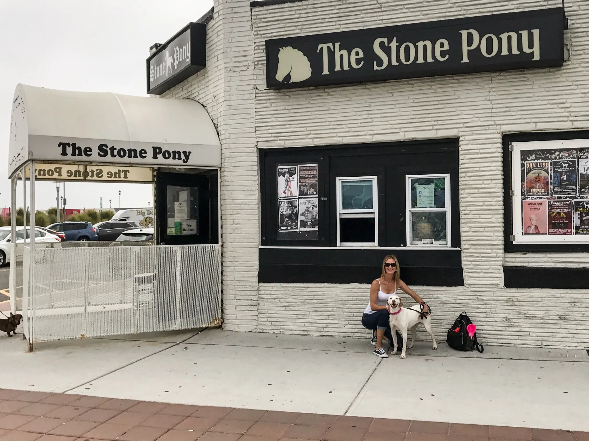 Asbury Park Stone Pony 2.webp