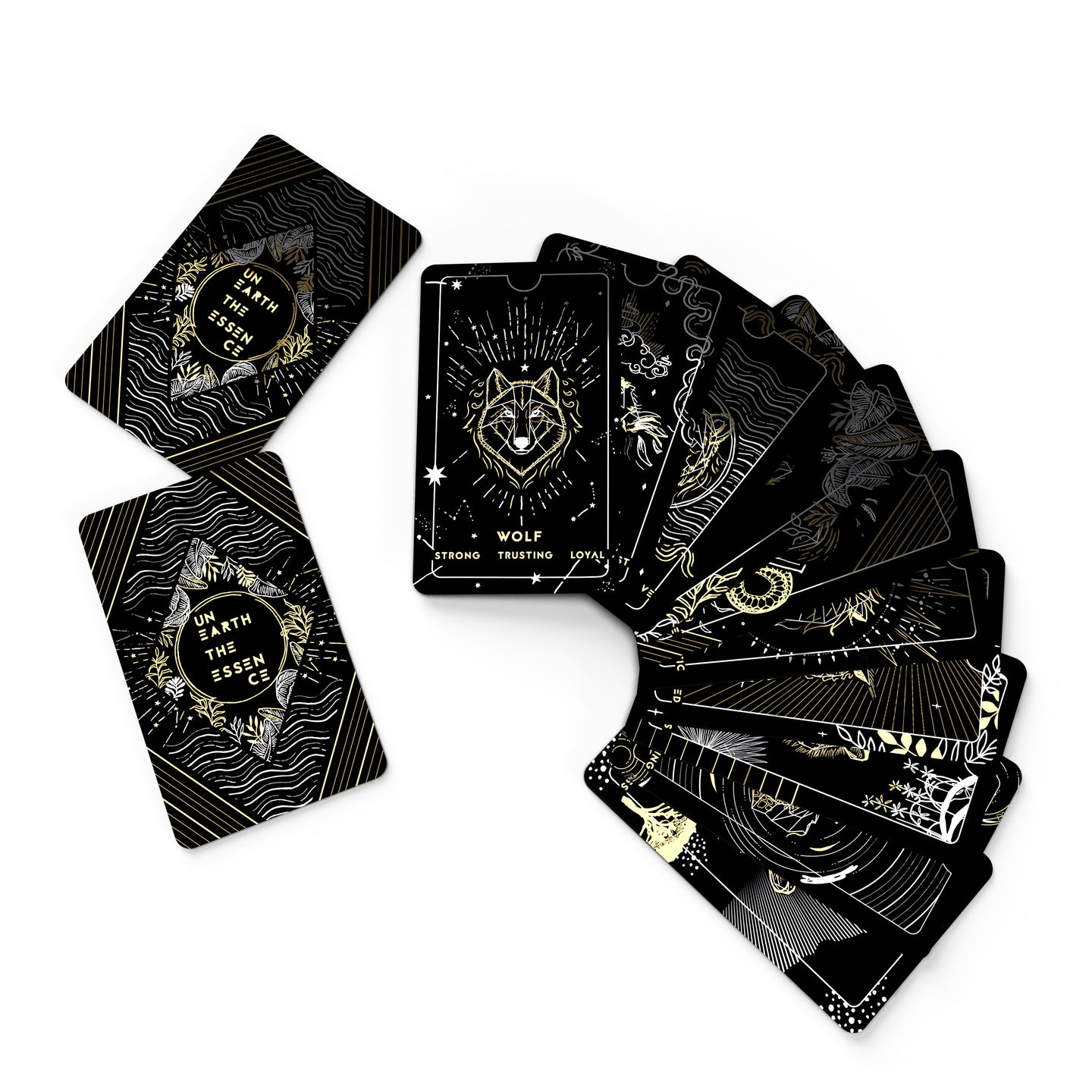 Apex Cards 10 Fan New-Current View copy.jpg