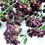 Thumbnail: Dried Oregano qty 10+