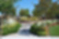 ross valley, san fran 155.JPG